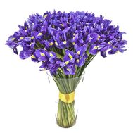 Элегантный букет из 101 ириса