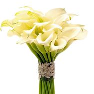 25 белых калл