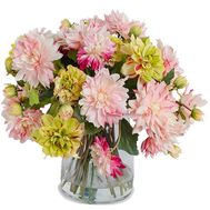 Георгины на подарок