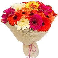 Amazing gerberas in a bouquet