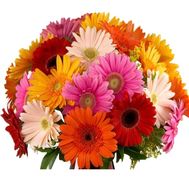 Beautiful bouquet of gerberas
