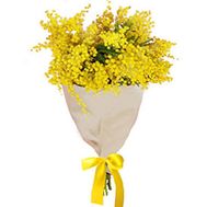 Гарний букет мімози