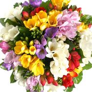 Красочный букет фрезий