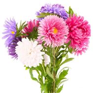 Маленький букет айстр