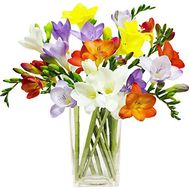 Маленький букет фрезий