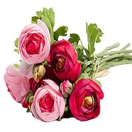 Маленький букет ранункулюсов