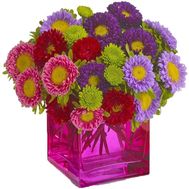 Миксовый букет астр