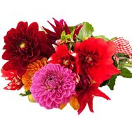 Небольшой букет георгин