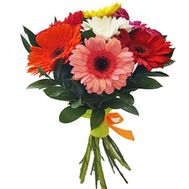 Невеликий букет гербер