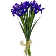 Недорогой букет ирисов