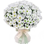 Ніжний букет ромашкових хризантем