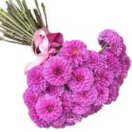 Нежный букет розовых георгин