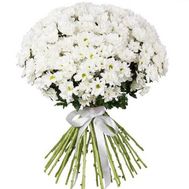 A charming bouquet of chamomile chrysanthemums
