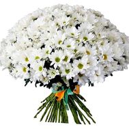 Величезний букет ромашкових хризантем