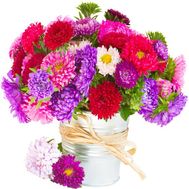 Пёстрый букет астр