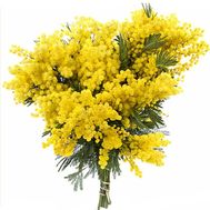 Чудовий букет мімози