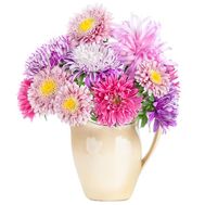 Прелестные астры в букете