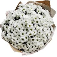 Chamomile in kraft paper