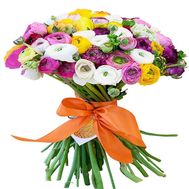 Розкішний букет ранункулюсів