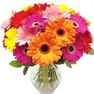 Stunning bouquet of gerberas
