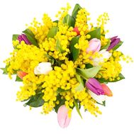 Сонячний букет із мімози і тюльпанів