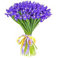 Удивительный букет фиолетовых ирисов