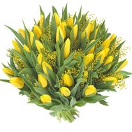 Жовті тюльпани і мімоза