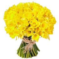 101 нарцис в букеті
