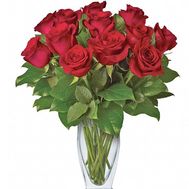15 short red roses