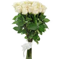 19 білих імпортних троянд