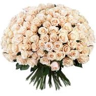 201 кремова троянда