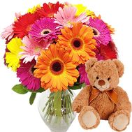 25 gerberas and teddy bear