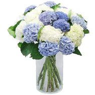 25 шикарних гортензій