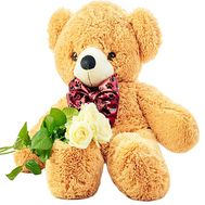 3 white roses and teddy bear
