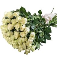 51 біла метрова троянда