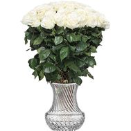 61 біла імпортна троянда 100 см