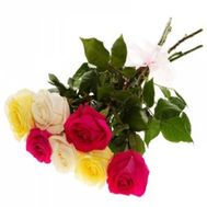 7 разноцветных роз 70 см