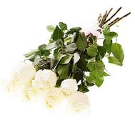 7 троянд 1 метр