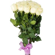 Білі метрові троянди