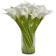 Large bouquet of white callas