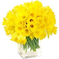 Великий букет нарцисів