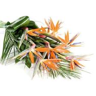 Букет из 11 стрелиций