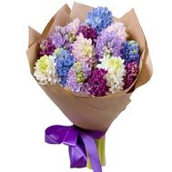 Букет із 15 гіацинтів