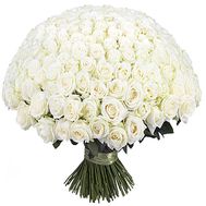 Букет із 251 білої троянди
