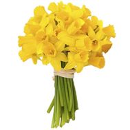 Букет із 31 жовтого нарциса