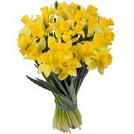 Букет із 35 нарцисів