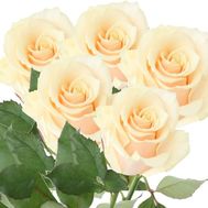 Букет із 5 кремових троянд