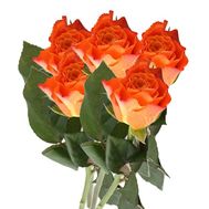 Букет із 5 помаранчевих троянд