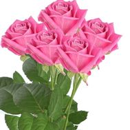 Букет із 5 рожевих троянд