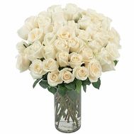 Bouquet of 53 white roses